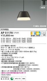 AP51170