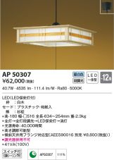 AP50307