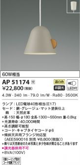 AP51174