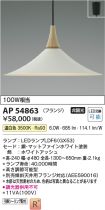 AP54863