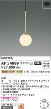 AP54889