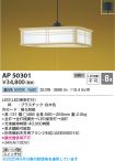 AP50301
