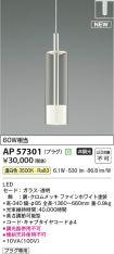 AP57301