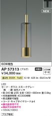 AP57313