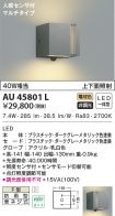 AU45801L