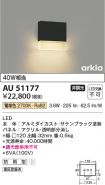 AU51177
