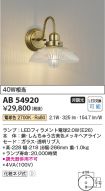 AB54920