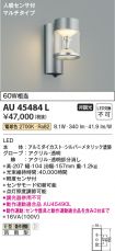 AU45484L