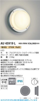 AU45919L