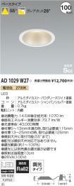 AD1029W27