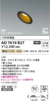 AD7019B27