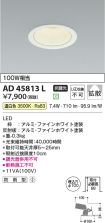 AD45813L