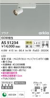AS51234