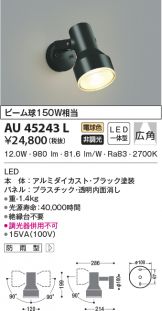 AU45243L