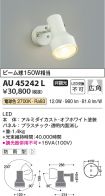 AU45242L