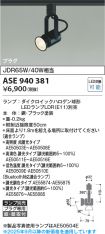 ASE940381