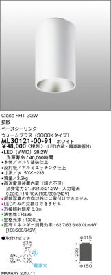 ML30121-00-91