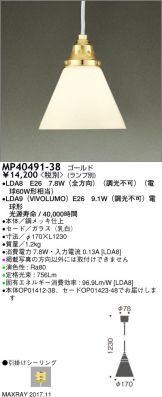 MP40491-38