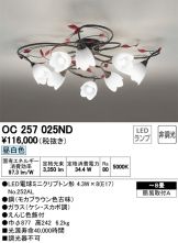 OC257025ND