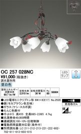 OC257028NC