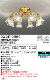 OC257045BC
