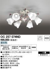 OC257074ND