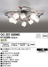 OC257025WD