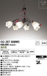 OC257028WD