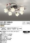 OC257026LD