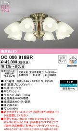 OC006918BR