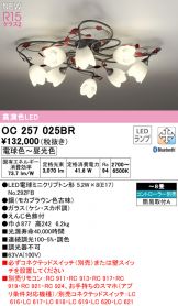 OC257025BR
