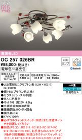 OC257026BR