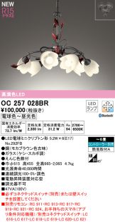 OC257028BR