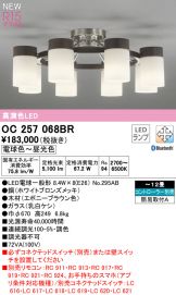 OC257068BR