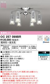 OC257099BR
