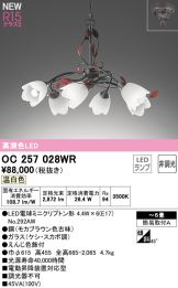 OC257028WR