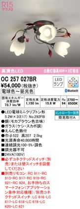 OC257027BR