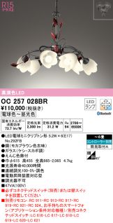OC257028BR