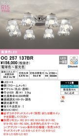 OC257137BR