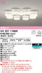 OC257170BR