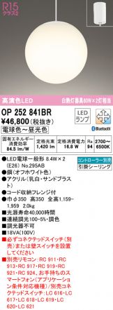 OP252841BR
