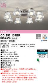 OC257137BR