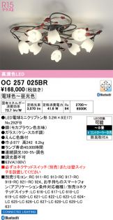 OC257025BR