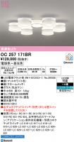 OC257171BR