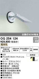 OG254124