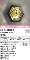 OG254028LCR