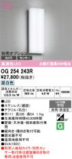 OG254243R