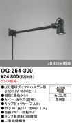 OG254300