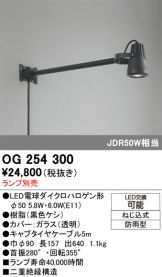OG254300