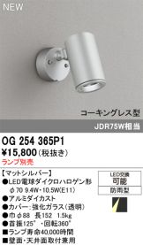 OG254365P1